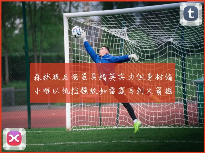 森林狼后场虽具精英实力但身材偏小难以抵挡强敌如雷霆马刺火箭掘金